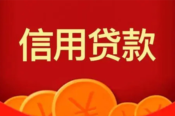 东莞11信用贷款网-东莞11空借空放-东莞11个人信用贷款